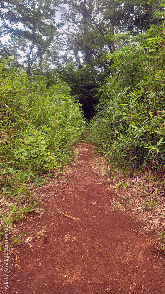 Fototapeta premium 洞窟, 穴／cave hole／동굴, 구멍