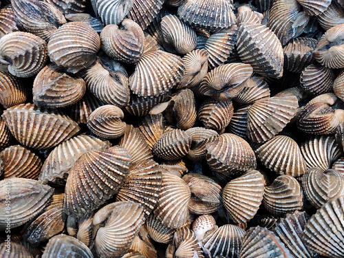 Close-up of fresh cockles piled together, showcasing their ridged, greyish-white shells with hints of sand. The texture is rough and detailed, emphasizing their natural, ocean-fresh appearance.
