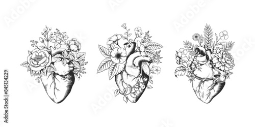 Human heart. Vintage flower sketch of tattoo. Anatomy internal organ with floral roses. Hipster monochrome print. Love and romance. Engraved blooming blossoms. Vector design elements set
