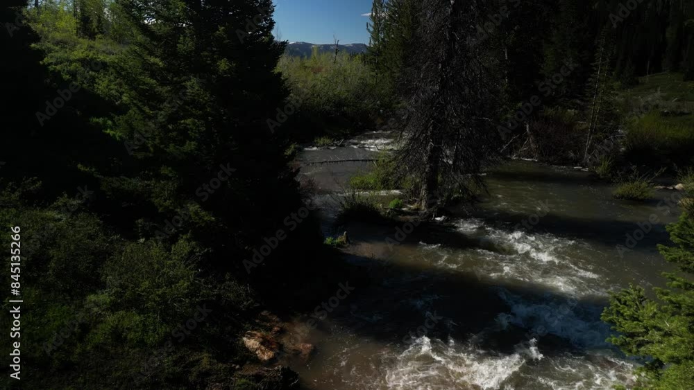 Low aerial over Logan River in Utah in springtime in Cache National Forest Low aerial over Logan River in Utah in springtime in Cache National Forest