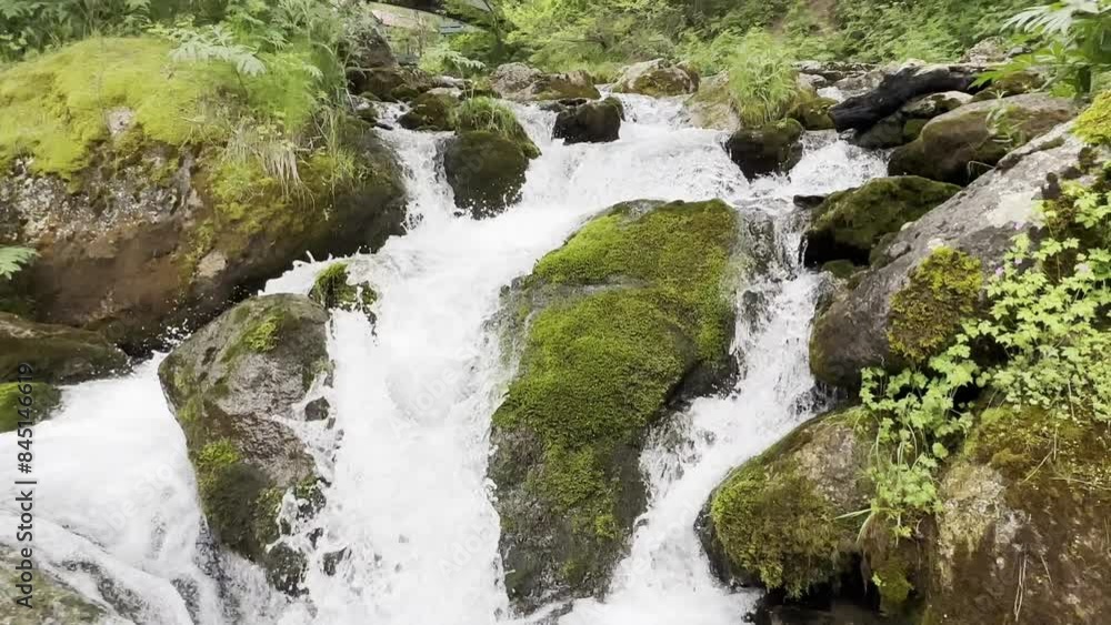 fertile and flowing waterfall and stream beds fertile and flowing waterfall and stream beds
