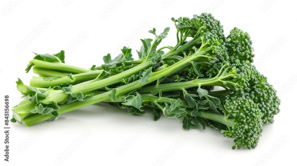 Broccolini isolated white background Broccolini isolated white background