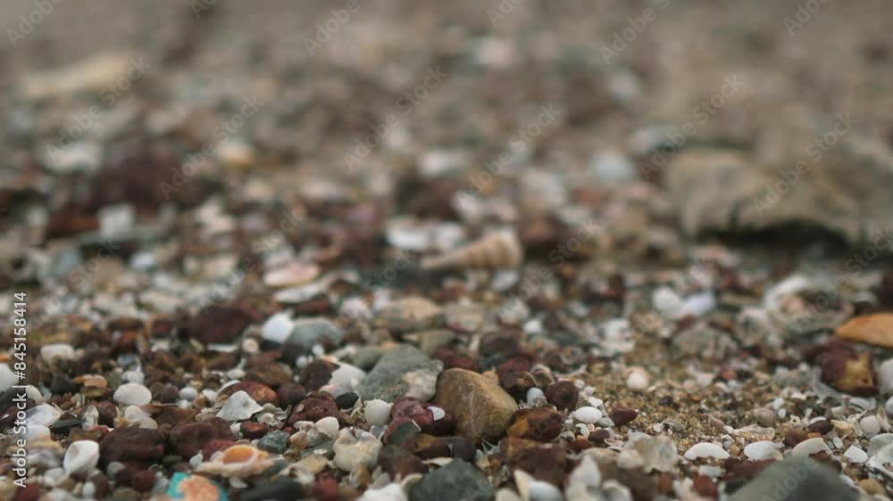 Colorful seashells and pebbles scattered on a sandy beach Colorful seashells and pebbles scattered on a sandy beach