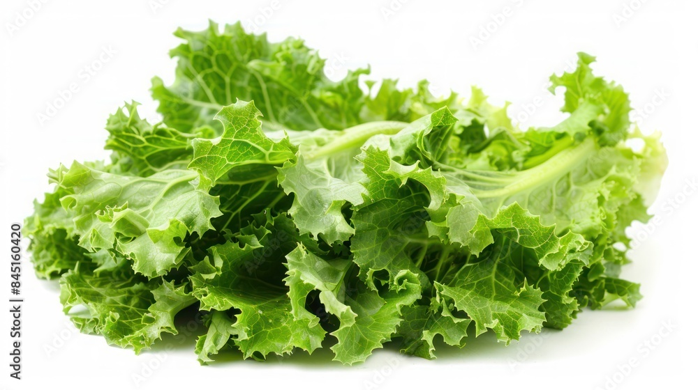 Escarole isolated white background Escarole isolated white background