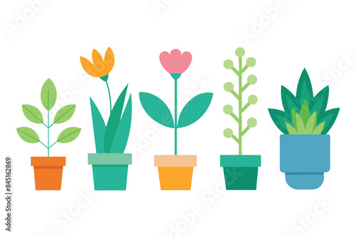 Plants set   minimal flat illustration on white background