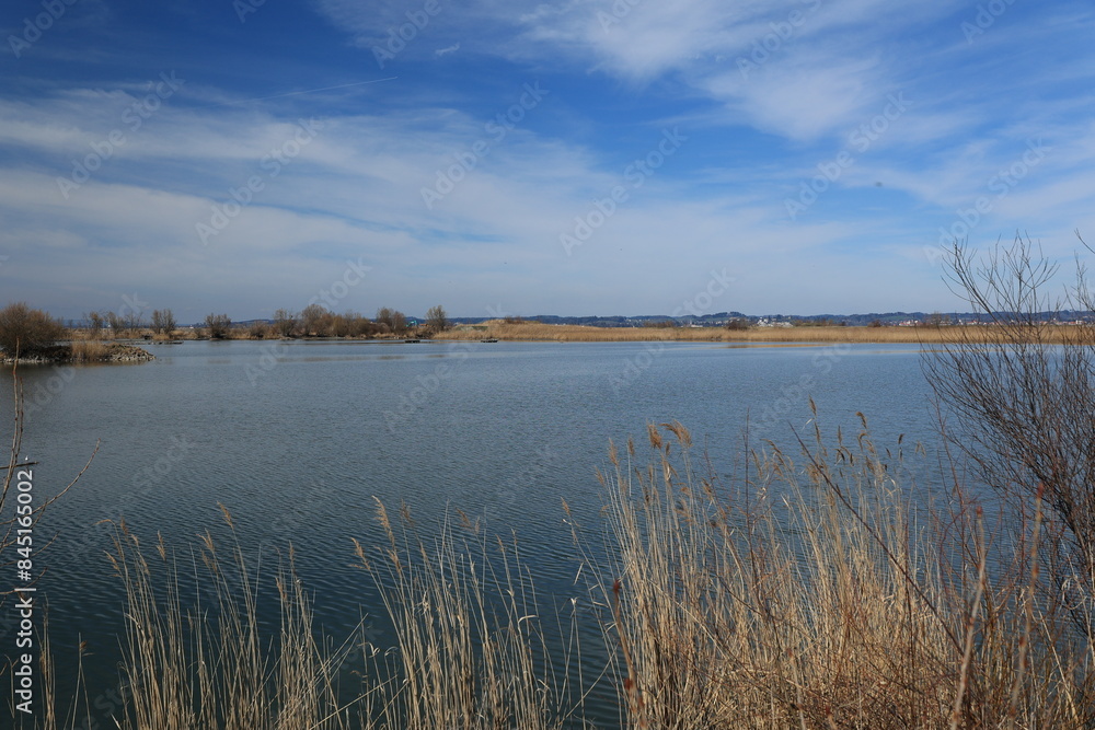 Betrachten Sie die Naturlandschaft dort, wo der Rhein bei Hard in Österreich in den Bodensee fließt. Betrachten Sie die Naturlandschaft dort, wo der Rhein bei Hard in Österreich in den Bodensee fließt.