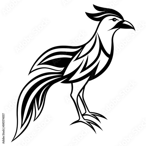 Rooster isolated tribal bird design - Vector design and illustration - Digital vector - Latest vector - Premium Victor