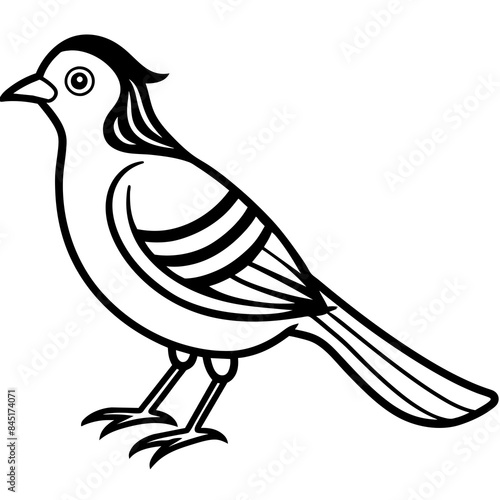 Vintage illustration of a dove - Vector design and illustration - Digital vector - Latest vector - Premium Victor