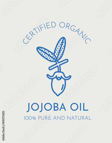 Hand-drawn vector jojoba illustration. Line art, retro. Plants and herbs for cosmetics. Logo template.