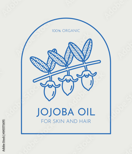 Hand-drawn vector jojoba illustration. Line art, retro. Plants and herbs for cosmetics. Logo template.