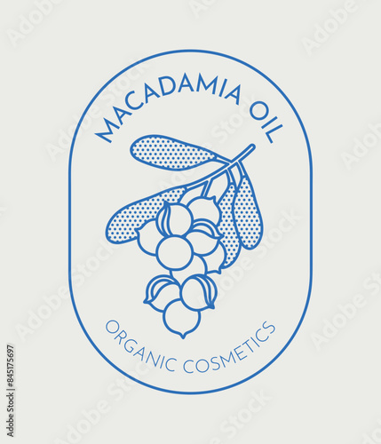 Hand-drawn vector macadamia illustration. Line art, retro. Plants and herbs for cosmetics. Logo template.