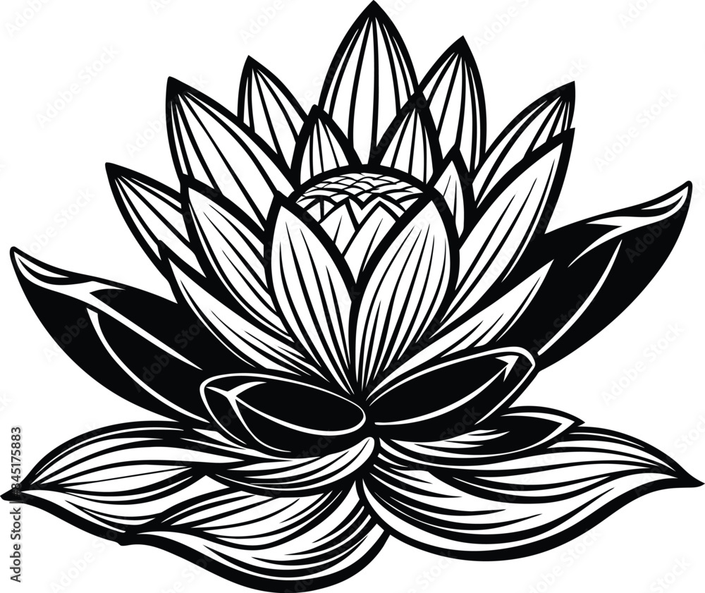 Fototapeta premium lotus flower vector illustration isolated on white background eps 10