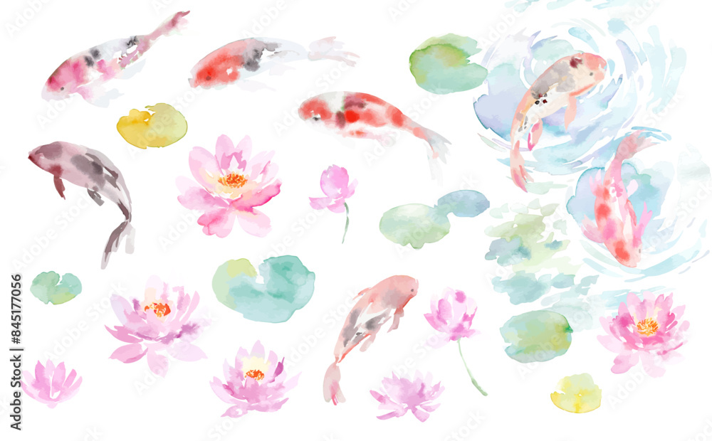 Vector illustration set of abstract water lilies, a pond, and koi fish painted in watercolor Vector illustration set of abstract water lilies, a pond, and koi fish painted in watercolor