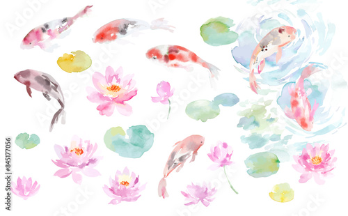Vector illustration set of abstract water lilies, a pond, and koi fish painted in watercolor