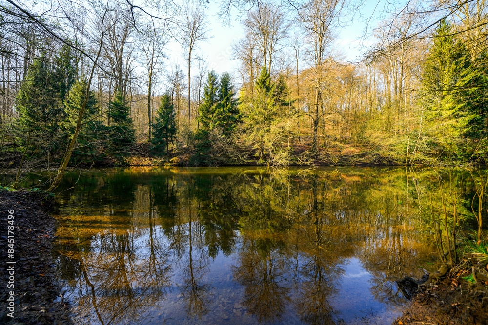 Nature at the Hasper Bach near Hagen in the Ruhr area.
Nature at the Hasper Bach near Hagen in the Ruhr area.
