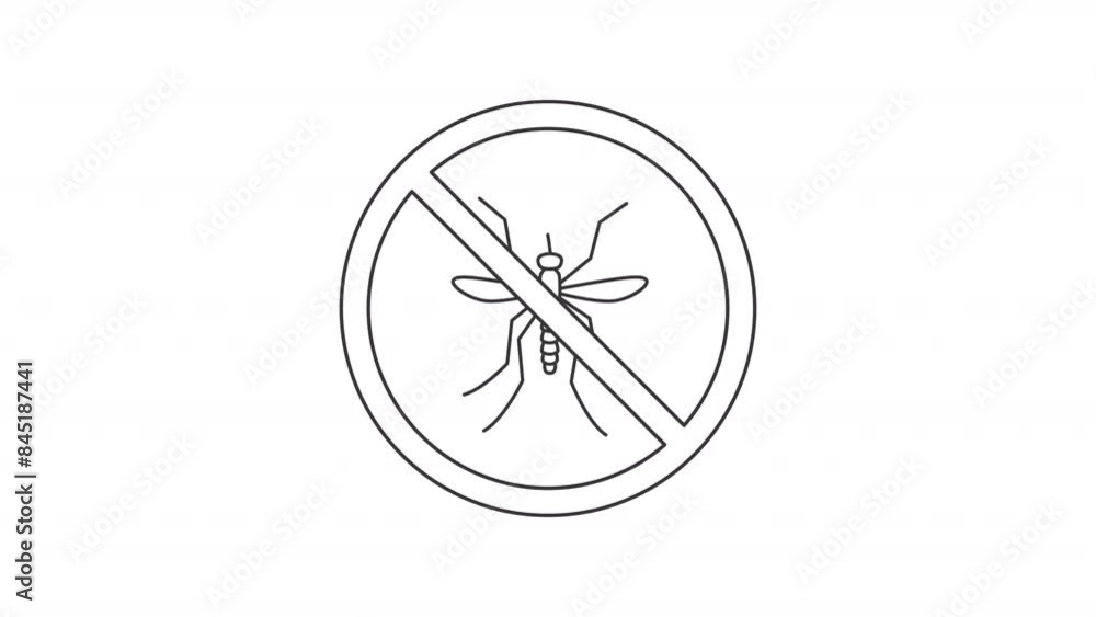 Animated flying bug icon. Fly insect line animation. Scaling block sign. Moving bloodsucker. Pest control service. Black illustration on white background. HD video with alpha channel. Motion graphic Animated flying bug icon. Fly insect line animation. Scaling block sign. Moving bloodsucker. Pest control service. Black illustration on white background. HD video with alpha channel. Motion graphic