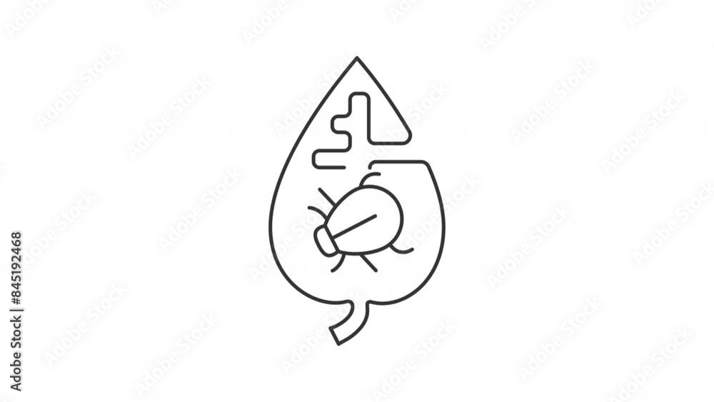 Animated garden pest icon. Leaf bug line animation. Moving bug. Nature parasite, ecosystem infestation. Black illustration on white background. HD video with alpha channel. Motion graphic Animated garden pest icon. Leaf bug line animation. Moving bug. Nature parasite, ecosystem infestation. Black illustration on white background. HD video with alpha channel. Motion graphic