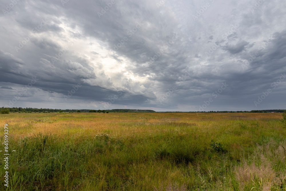 A wide, grassy meadow stretches out under a cloudy spring sky. Sunlight peeks through the dark clouds, illuminating the field with a soft, golden glow. A wide, grassy meadow stretches out under a cloudy spring sky. Sunlight peeks through the dark clouds, illuminating the field with a soft, golden glow.