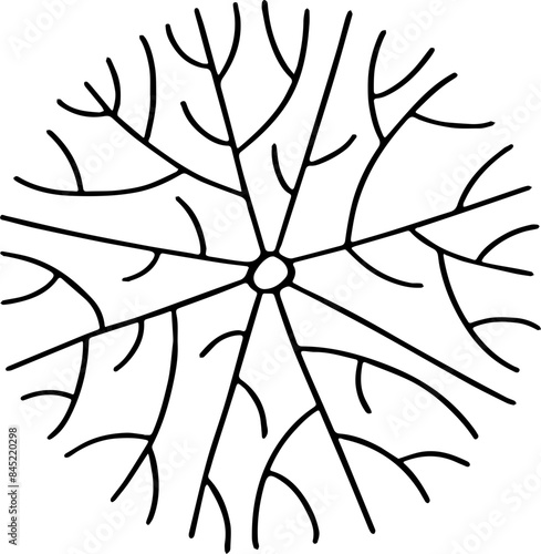 hand drawn top view of tree illustration.