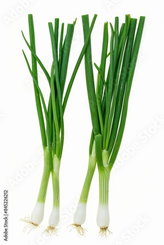 Young green onion isolated on white background with clipping path. Full Depth of field. Focus stacking. PNG, Generative AI