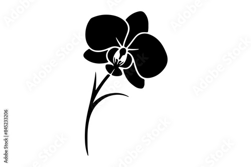 Orchid silhouette vector illustration.
