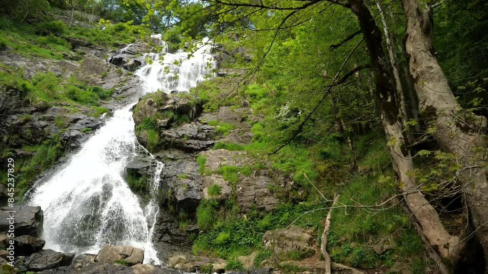 View of Todtnau Waterfalls: Water Flowing Over Rocks with Trees in Foreground View of Todtnau Waterfalls: Water Flowing Over Rocks with Trees in Foreground