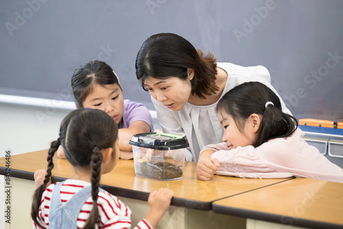Foto Elementary school students keeping beetles and insects in the classroom with the
