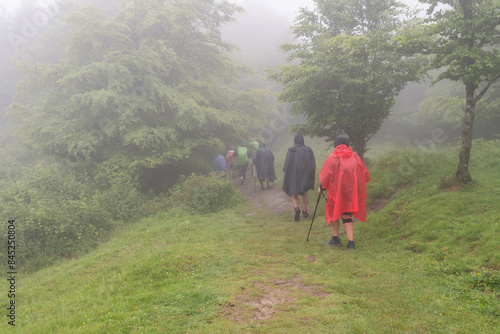 Way of St. James. Pilgrims in rain and fog going down to Roncesvalles. Navarrese Pyrenees