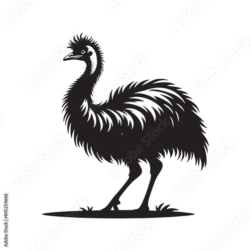 Emu Bird Silhouette: Vector Art Showcasing the Distinctive Profile of Australia's Iconic Bird- Emu Bird Vector- Emu Bird Illustration. photo