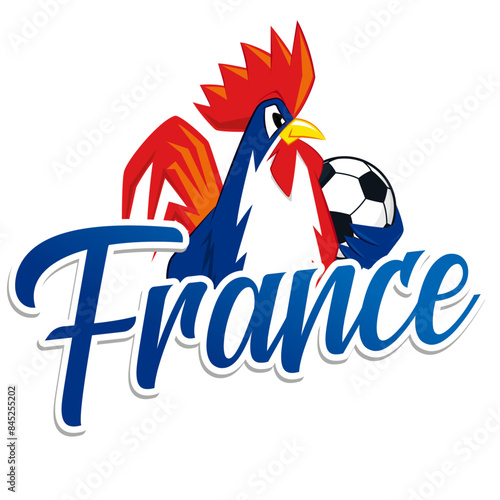 Coq français, supporter football, France, 2024