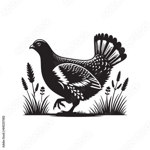 Tableau sur toile Grouse Bird Silhouette: Vector Art for Nature-Themed Home Decor and Crafts - Grouse Bird Vector - Grouse Bird Illustration
