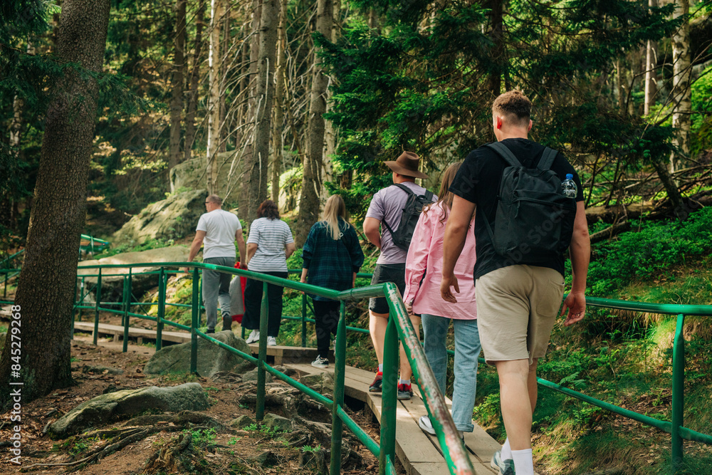 Family together walking on footbridge in forest Family together walking on footbridge in forest