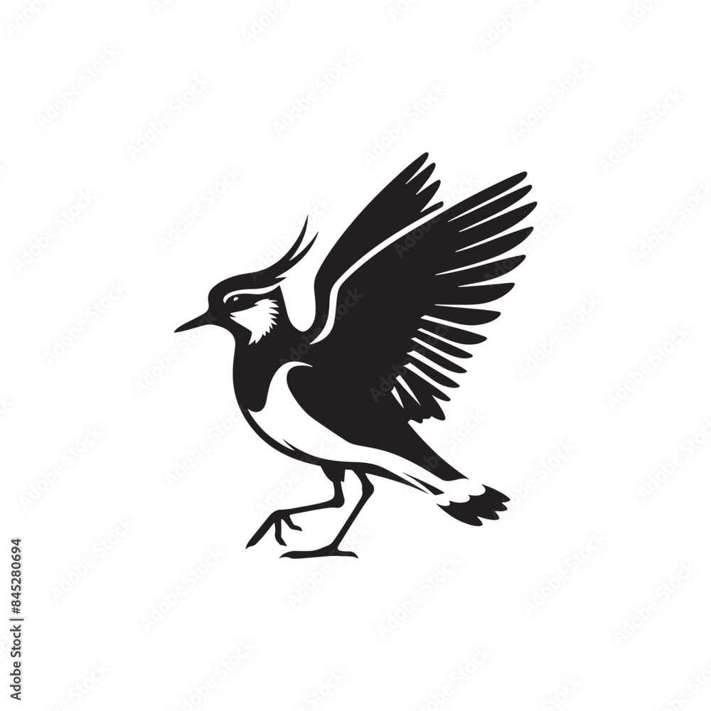 Bold Lapwing Bird Silhouette: Vector Graphics Adding a Touch of Natural Splendor to Your Designs- Lapwing Bird Illustration - Lapwing Bird Vector. Bold Lapwing Bird Silhouette: Vector Graphics Adding a Touch of Natural Splendor to Your Designs- Lapwing Bird Illustration - Lapwing Bird Vector.