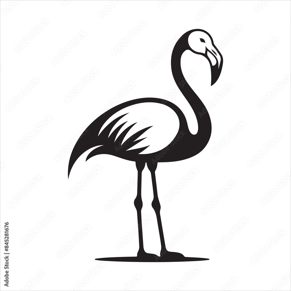 Female Chilean Flamingo Female Chilean Flamingo