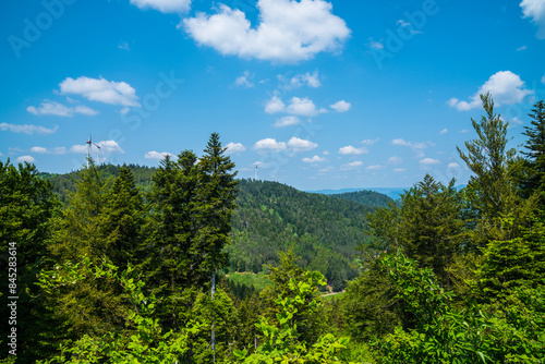 Obraz na płótnie Germany, Breathtaking black forest schwarzwald nature landscape panorama view above green woodland on sunny day with blue sky w salonie
