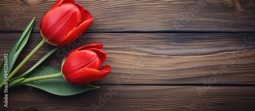 Close up photograph of a stunning red tulip on a weathered wooden background This image captures the essence of spring flowers and makes for a perfect backdrop on Mother s Day. Creative banner