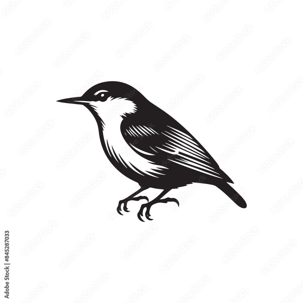 Nuthatch Bird Silhouette: Vector Illustrations Ideal for Wildlife Art and Decorative Projects- Nuthatch Bird Vector - Nuthatch Bird Illustration.
Nuthatch Bird Silhouette: Vector Illustrations Ideal for Wildlife Art and Decorative Projects- Nuthatch Bird Vector - Nuthatch Bird Illustration.