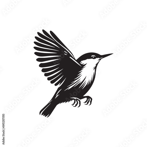 Nuthatch Bird Silhouette: Vector Illustrations Ideal for Wildlife Art and Decorative Projects- Nuthatch Bird Vector - Nuthatch Bird Illustration.  © Wolfe 