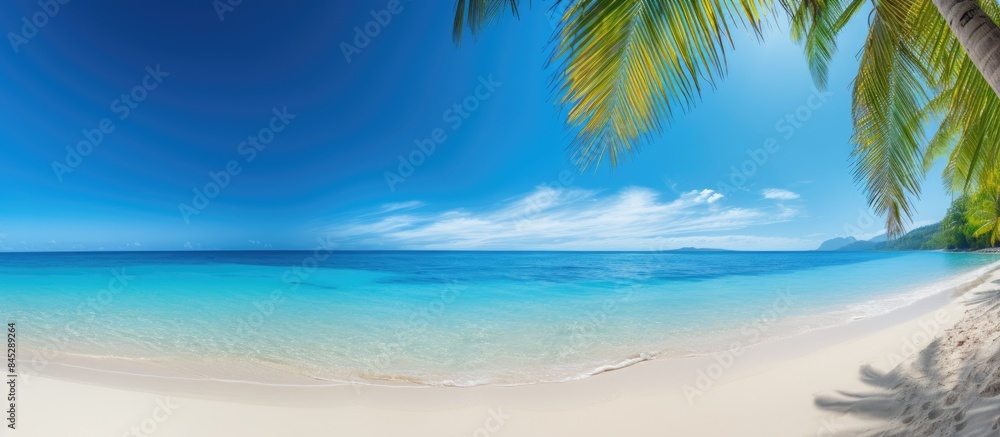 Fototapeta premium A scenic tropical beach with sandy shores crystal clear ocean waters lush palm leaves and a vibrant blue sky provides a picturesque copy space image
