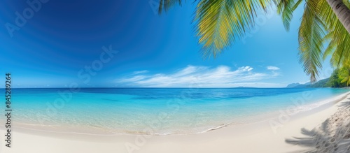 A scenic tropical beach with sandy shores crystal clear ocean waters lush palm leaves and a vibrant blue sky provides a picturesque copy space image