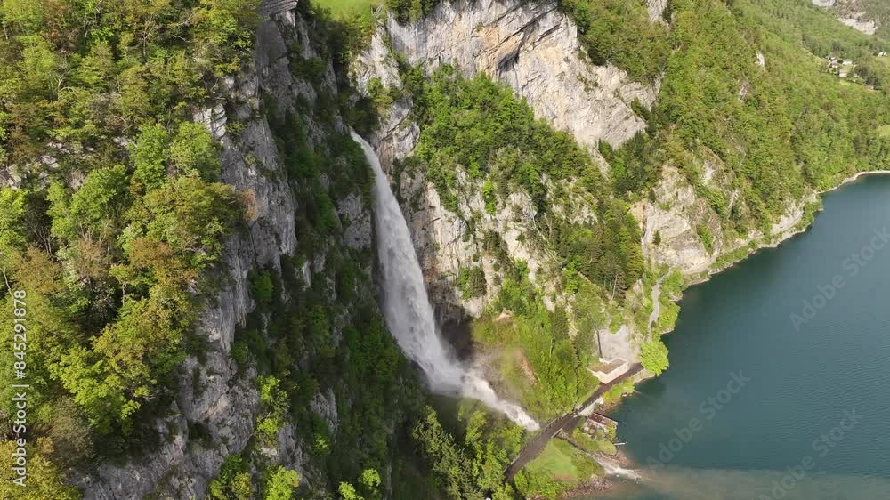 Aerial view of Seerenbach Falls cascading down a steep, lush cliff into the blue waters of Walensee, surrounded by dense forest and rocky terrain in Amden, Betlis, Switzerland. Aerial view of Seerenbach Falls cascading down a steep, lush cliff into the blue waters of Walensee, surrounded by dense forest and rocky terrain in Amden, Betlis, Switzerland.