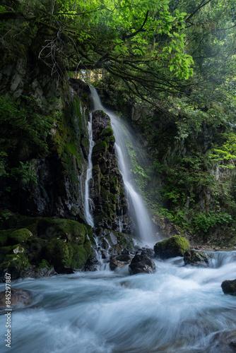 Fototapeta Naklejka Na Ścianę i Meble -  美しい滝のある風景