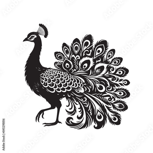 Peafowl Silhouette: Perfect for Nature-inspired Designs and Wildlife Enthusiasts - Peafowl Vector - Peafowl Illustration.