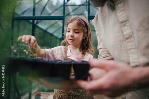 Fater and girl working together in garden, planting seedlings, spending time togeter, have shared hobby. Fatherhood and Father's Day concept. photo