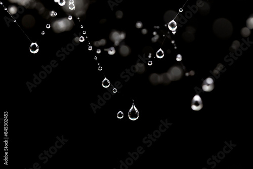 water droplets on black background