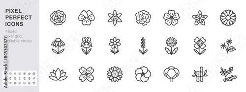 Medical flowers line icon set. Rose, violet, jasmine, calendula, echinacea, iris, chamomile minimal vector illustrations. Simple outline signs for cosmetic plants. 48x48 Pixel Perfect Editable Stroke