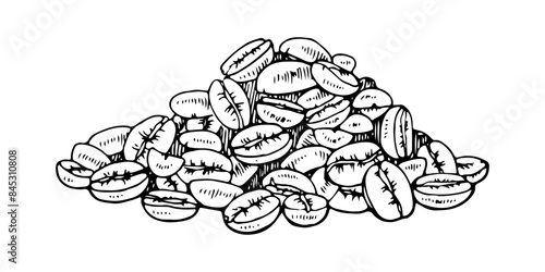 Coffee Bean pile Vector hand drawn illustration. Cafe grain sketch drawing. Vintage black line art on isolated white background. Clipart for graphic design. Seed in retro style for food packaging