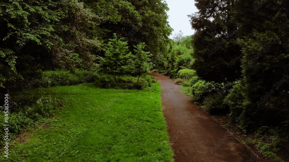 Park lawn grass with tall trees and pathway in England wide aerial Park lawn grass with tall trees and pathway in England wide aerial