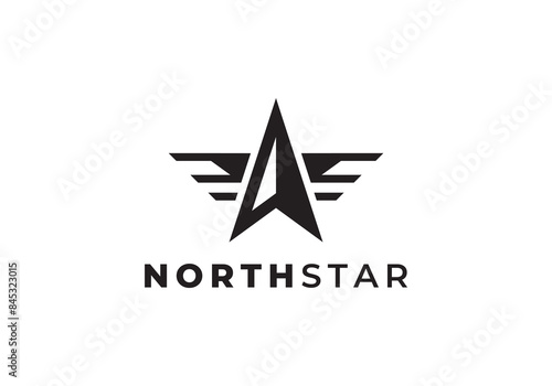 north star wings logo vector icon design