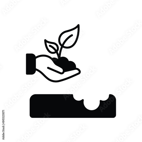 Replant vector icon